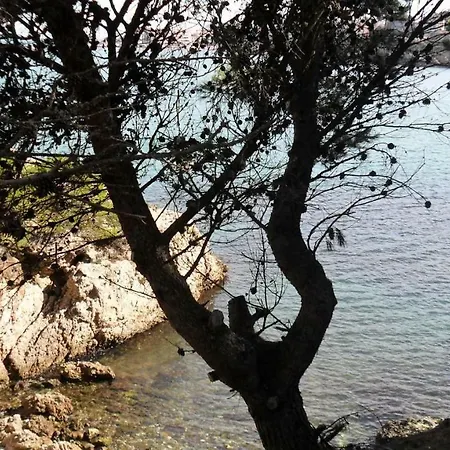 Costa Brava Casa Olives Villa *